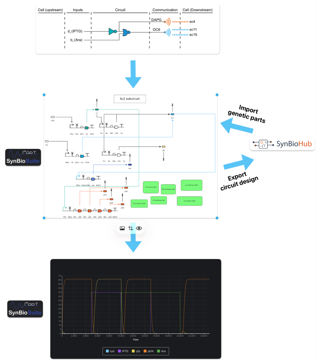 sc2 subcircuit overview