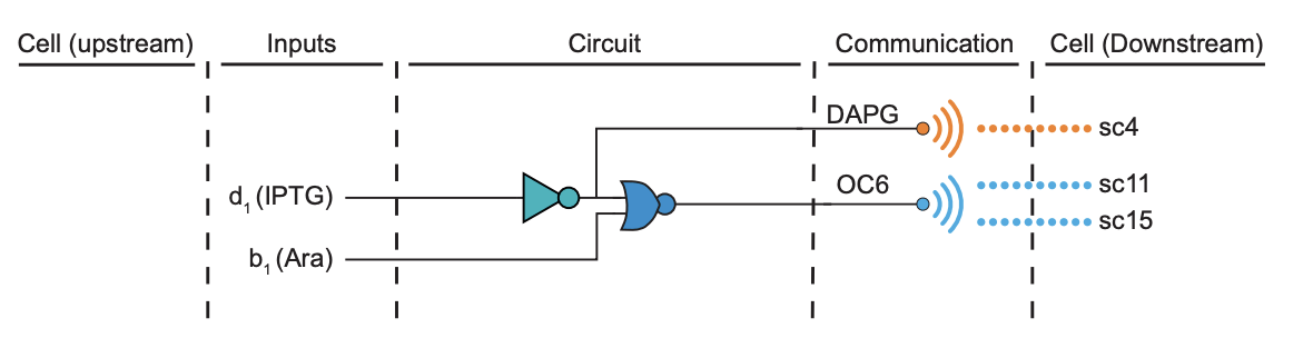 sc2 subcircuit wiring diagram