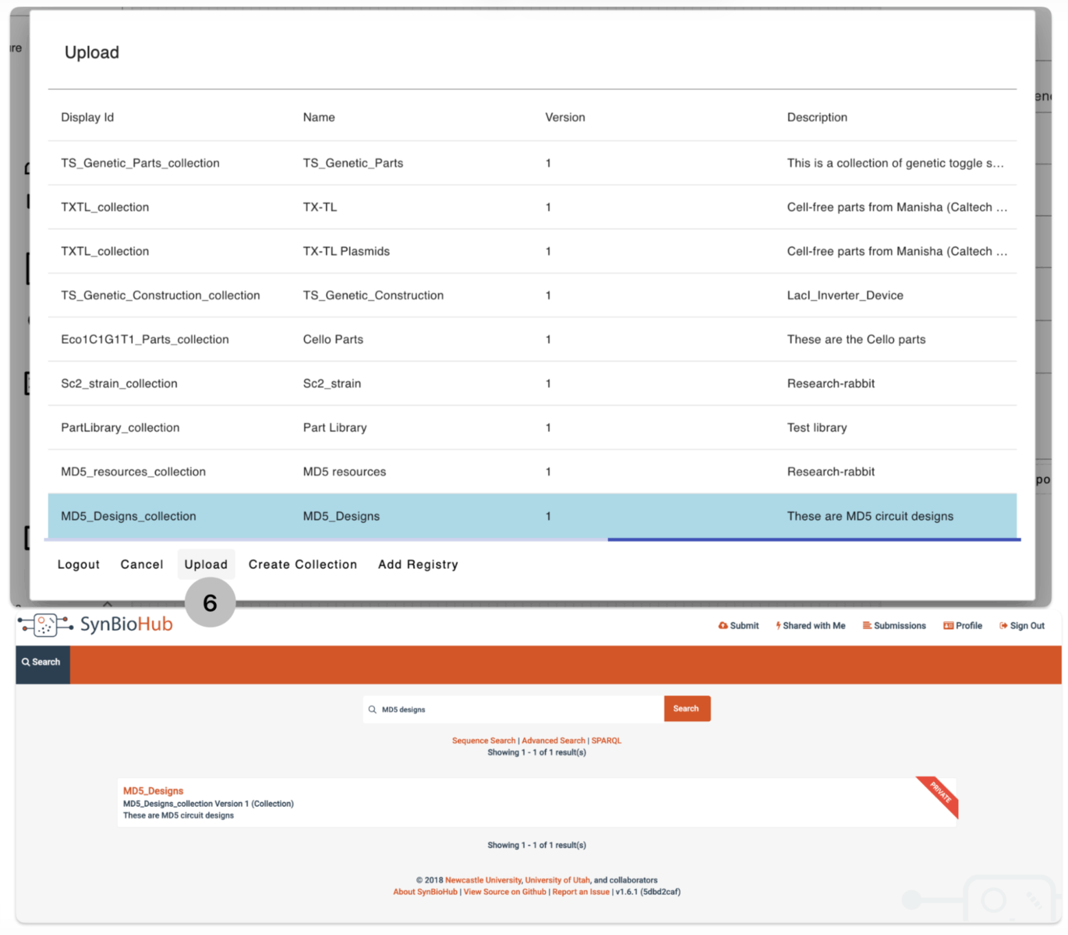 Design uploaded to SynBioHub