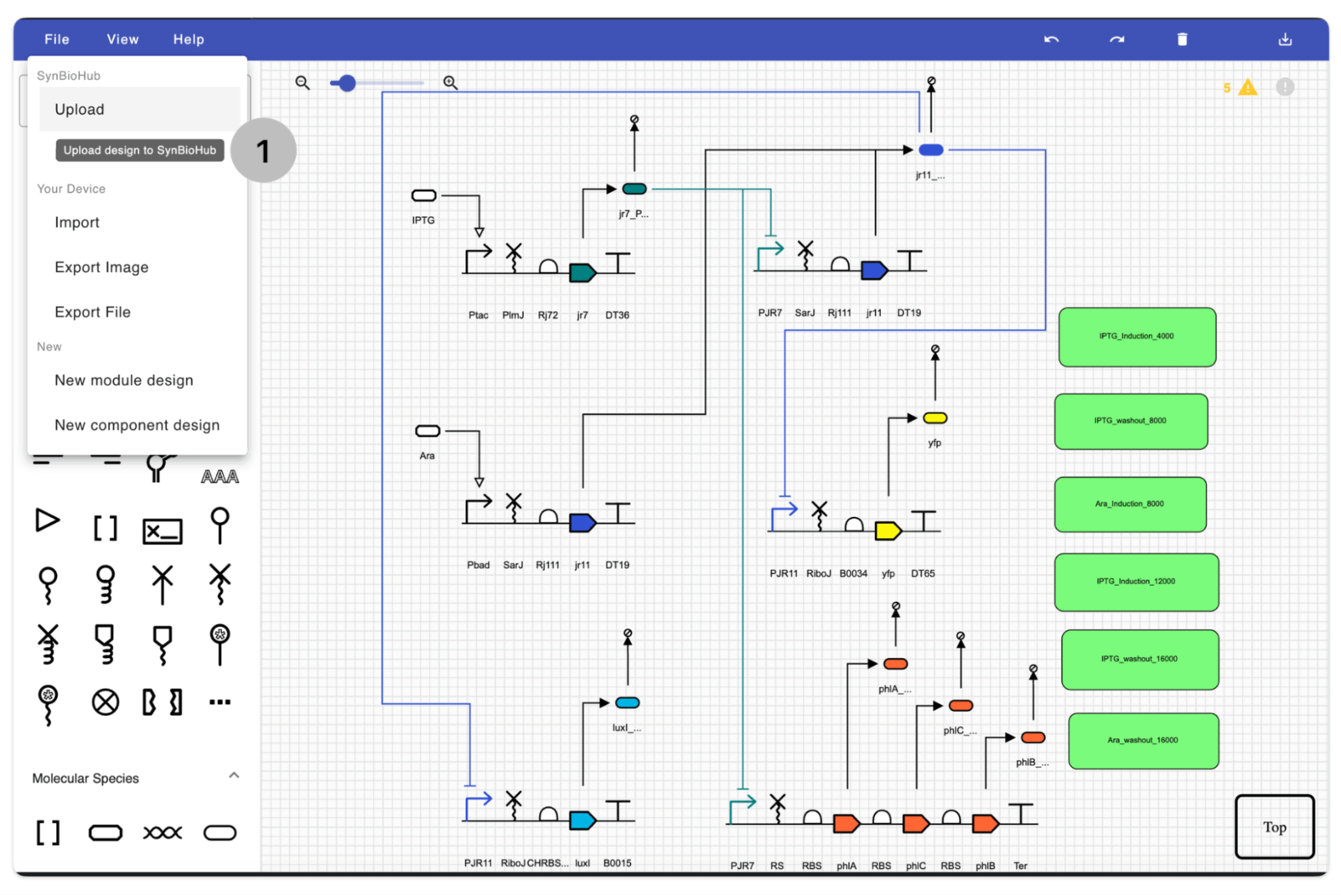 Uploading the design to SynBioHub