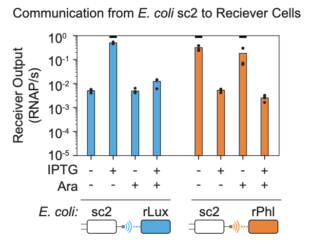Steady-state behavior of sc2 subcircuit