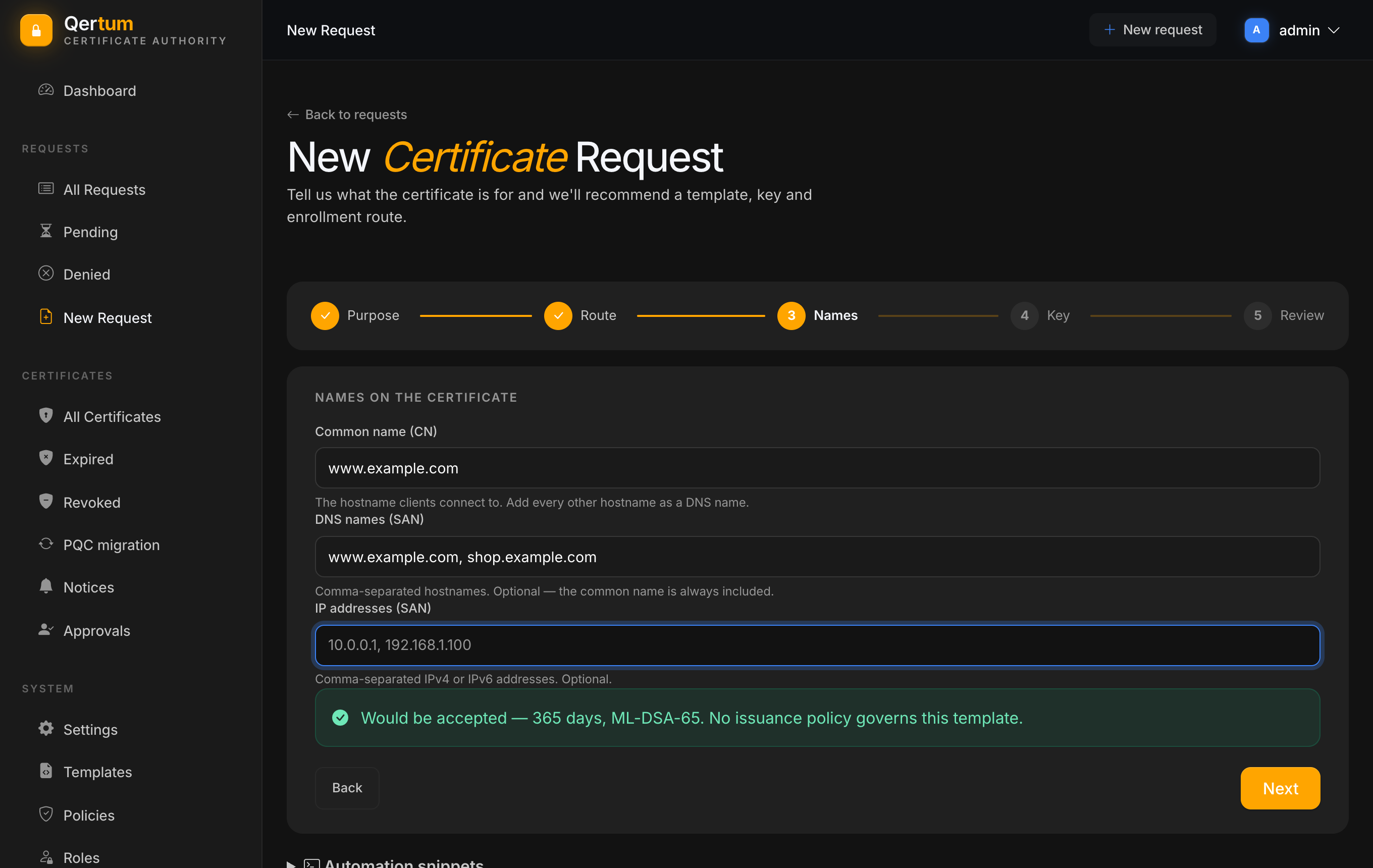 The Names step with a common name and two DNS names filled in
