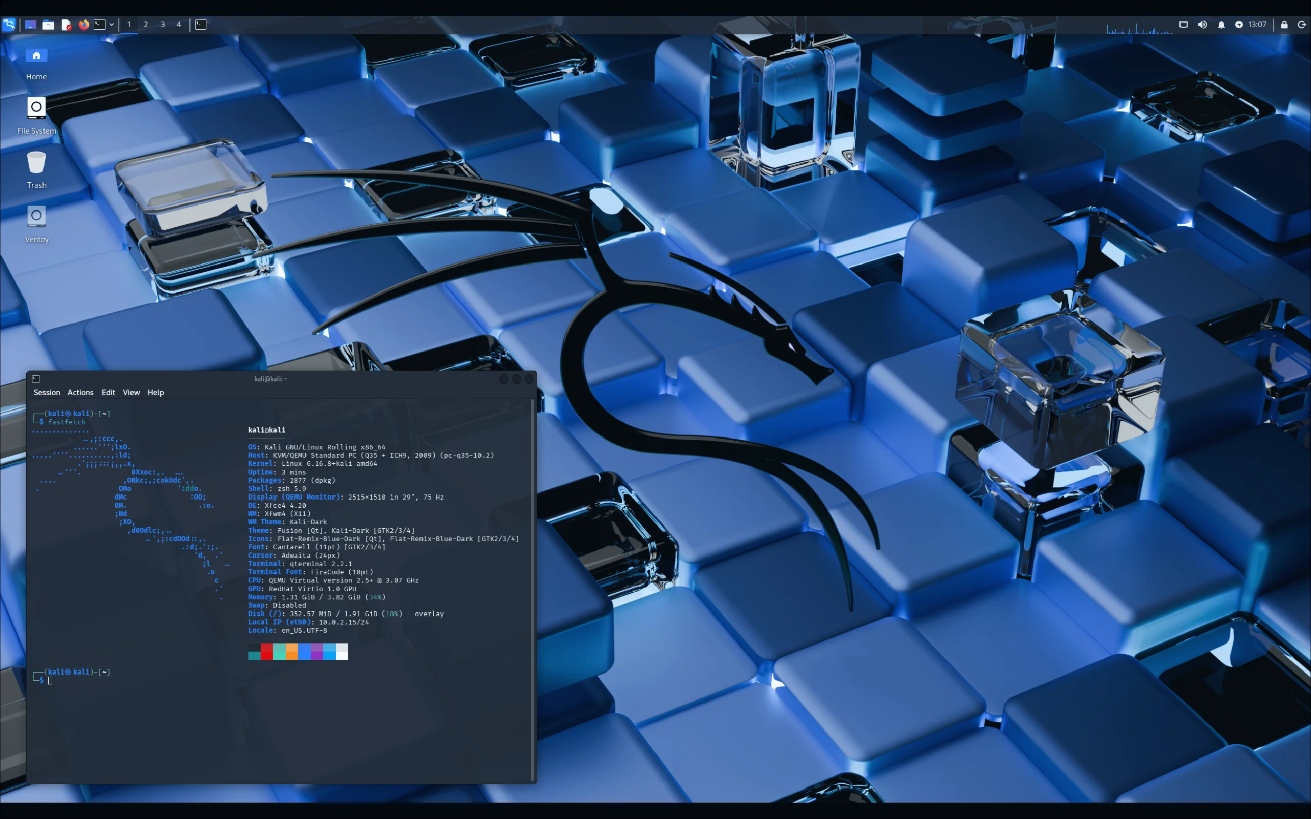 Kali Linux Screenshot
