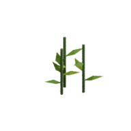 Flax · Stage 3