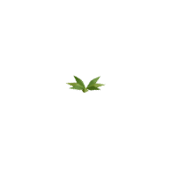 Carrot · Stage 1