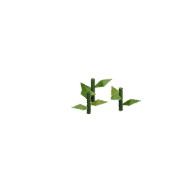 Berry · Stage 1