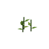 Berry · Stage 2