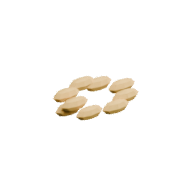 Wheat Seeds
