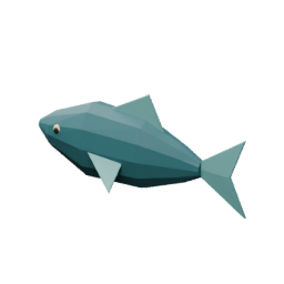 Raw Fish