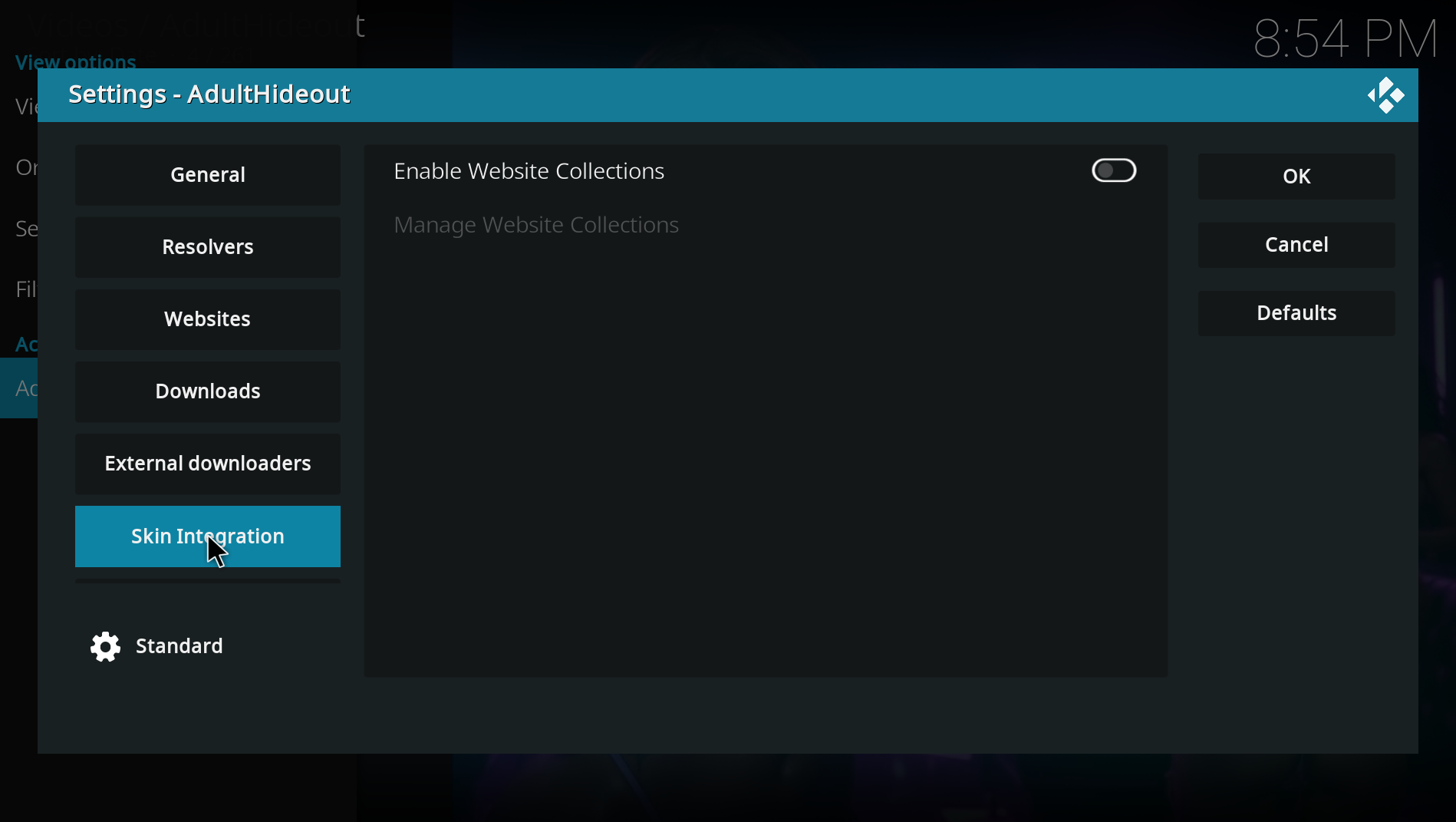 Skin Integration settings