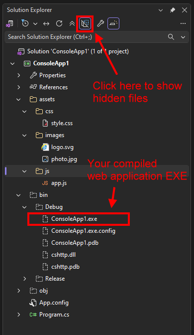 Click Show All Files in Solution Explorer to view bin/Debug/ConsoleApp1.exe