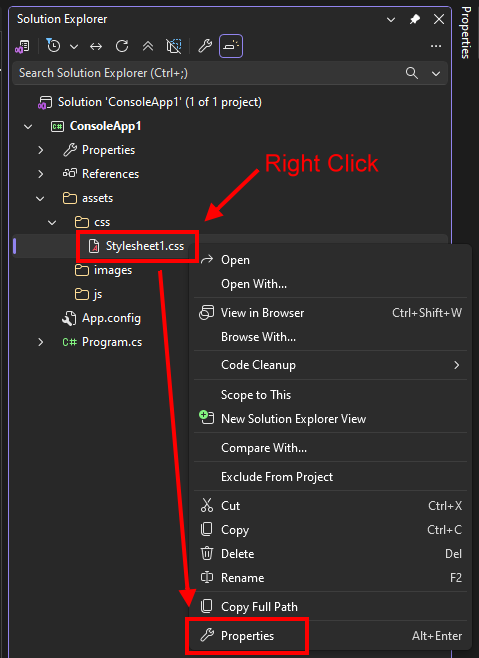 Right click the file in Solution Explorer and select Properties