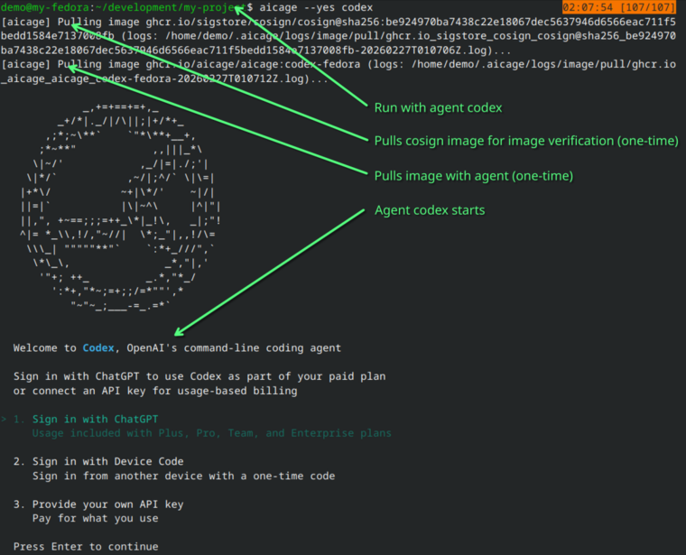 Example output of first run with agent codex