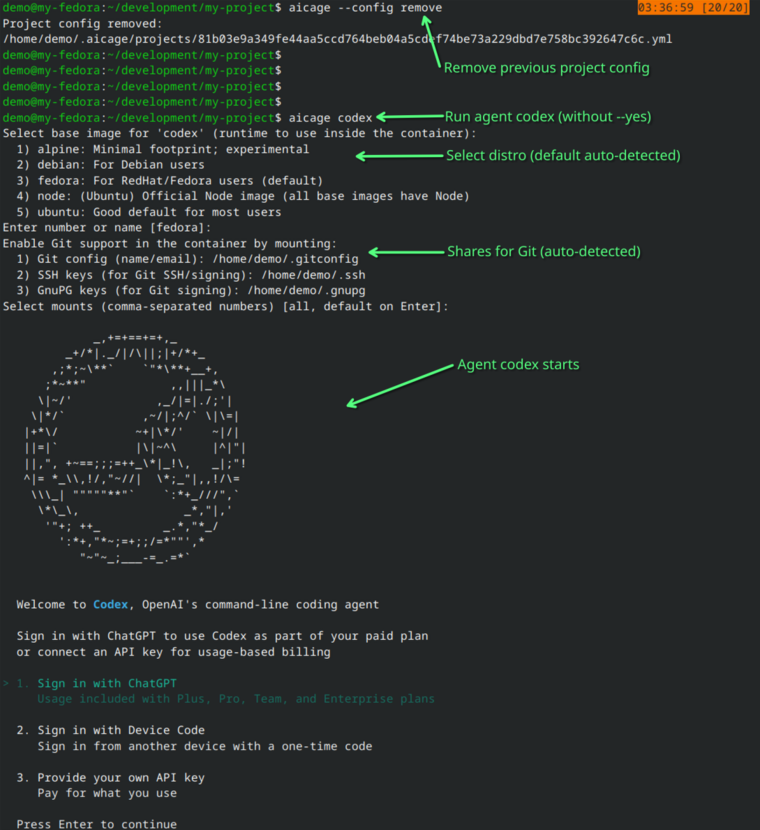Example output of full setup prompt flow