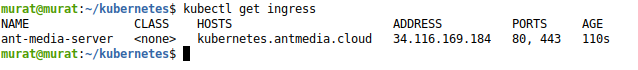 How To Install Ant Media Server On GKE Ant media Ant Media Server Wiki