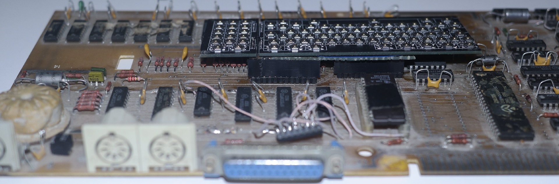 img3.jpg