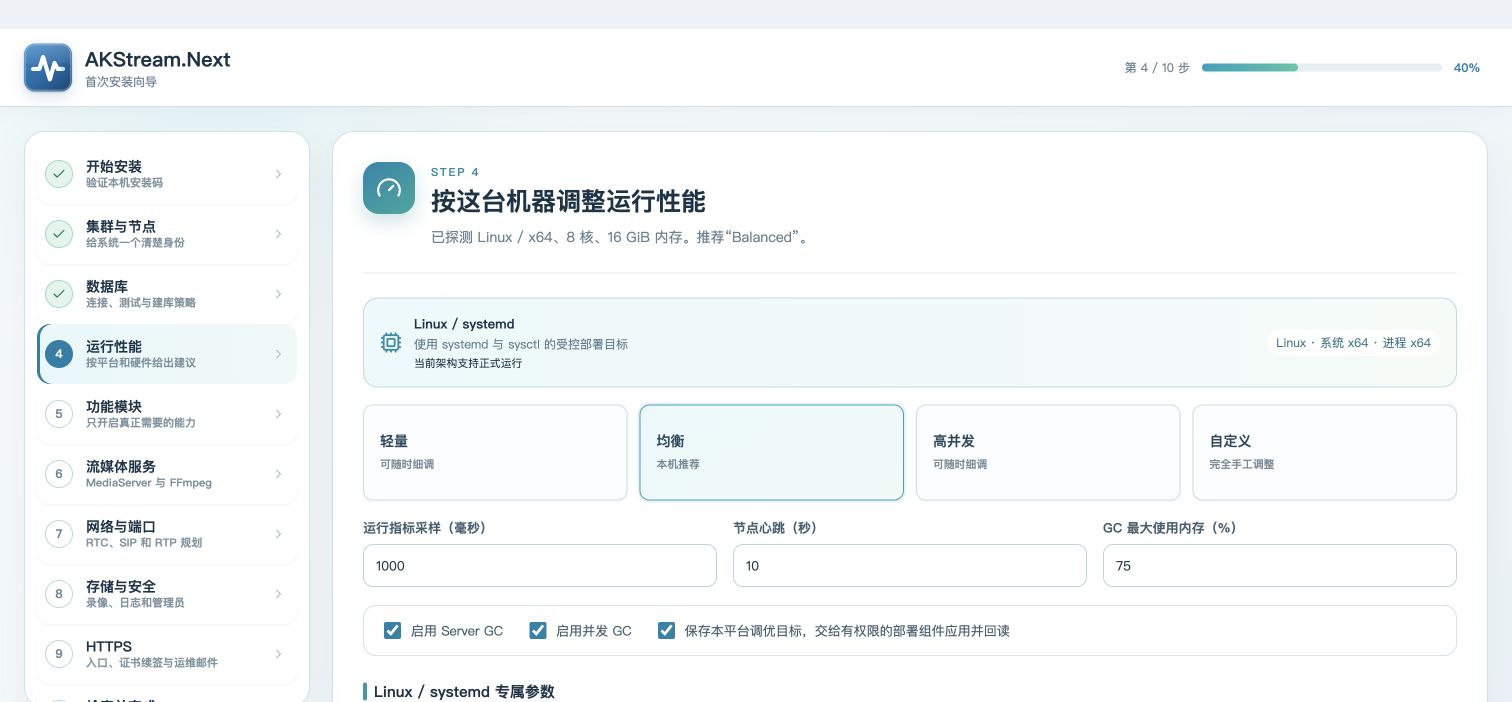 真实第 4 步：硬件探测和性能方案页面