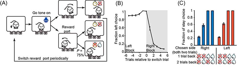 Figure6