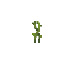 big_dripleaf_stem