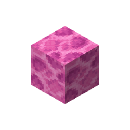 brain_coral_block