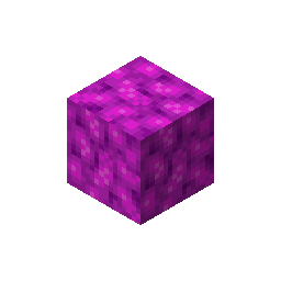 bubble_coral_block