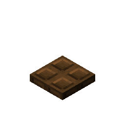 dark_oak_trapdoor_bottom