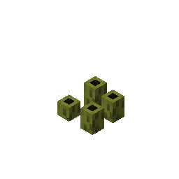 four_dead_sea_pickles