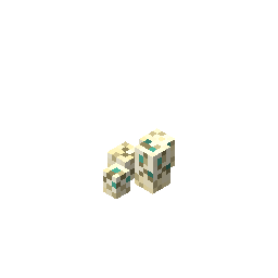 four_very_cracked_turtle_eggs