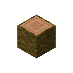 jungle_log