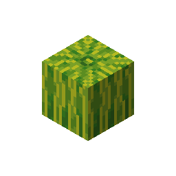 melon