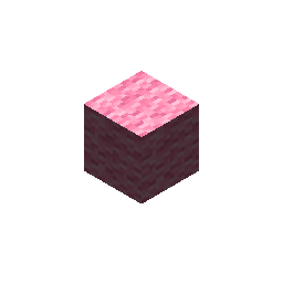 pink_wool