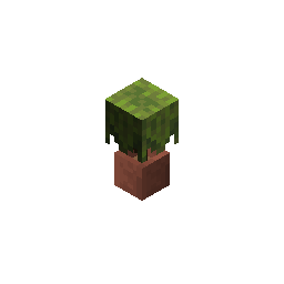 potted_azalea_bush