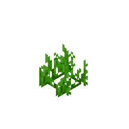 seagrass