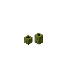 two_dead_sea_pickles