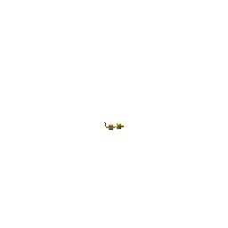 goggles