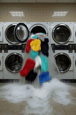 A washing machine bursts and a dog swims out with the water
