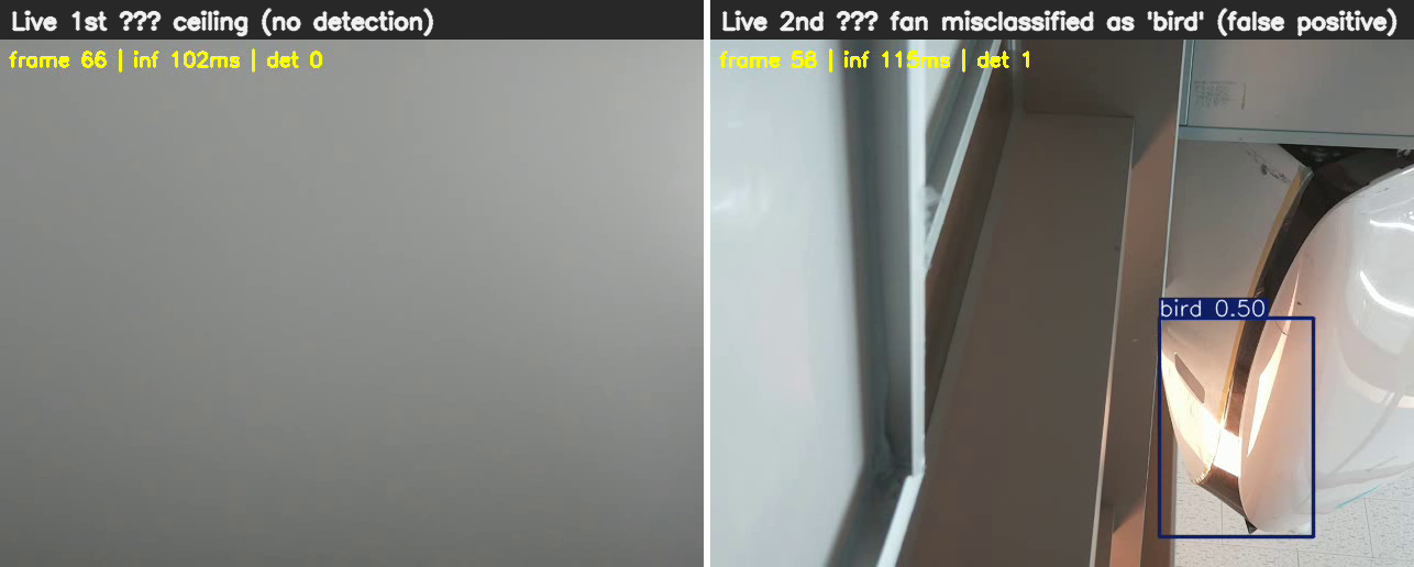Live 1st (ceiling, no detection) vs 2nd (fan misclassified as bird)