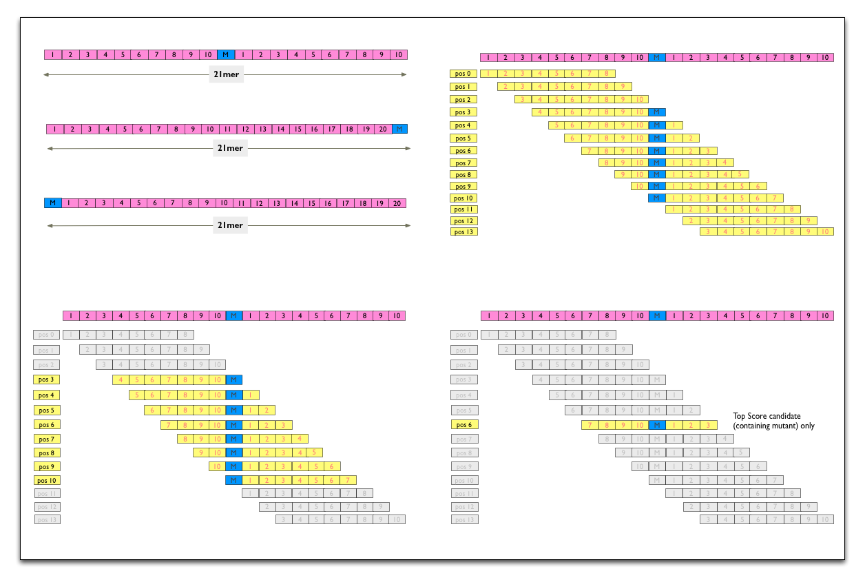 Pipeline Overview