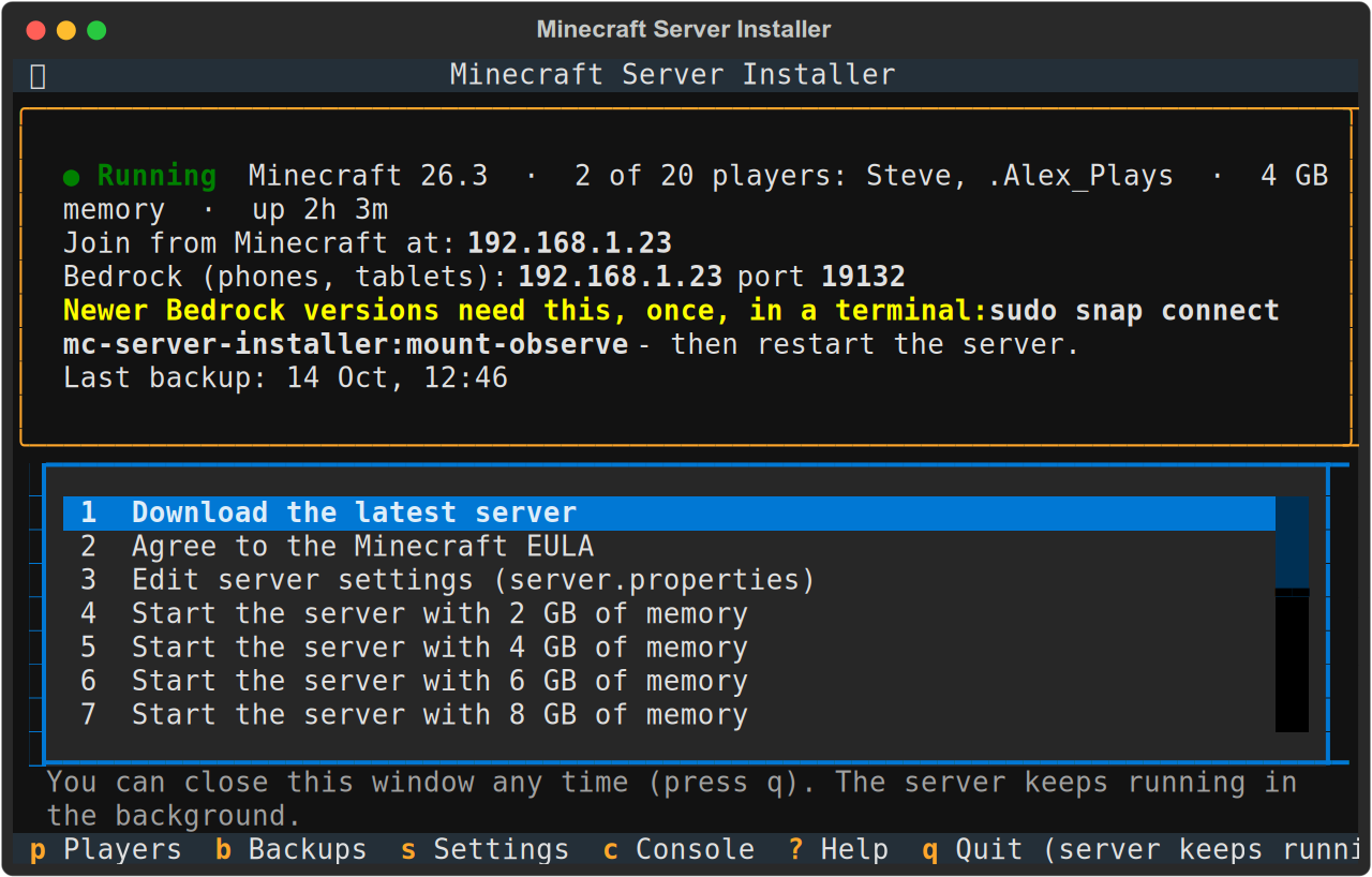 The menu's top shows "Newer Bedrock versions need this, once, in a terminal: sudo snap connect mc-server-installer:mount-observe"