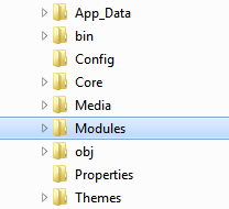 Orchard root module folder