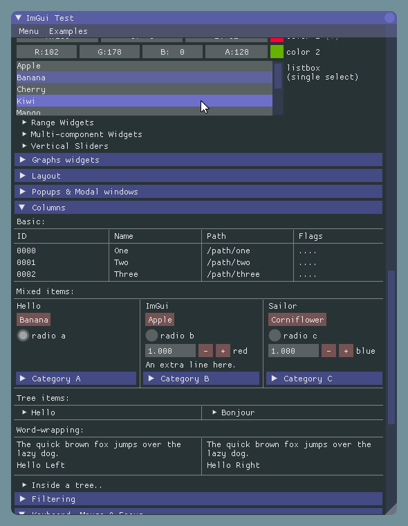 Imgui example