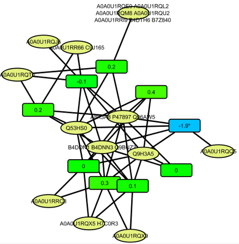 Protein cluster example