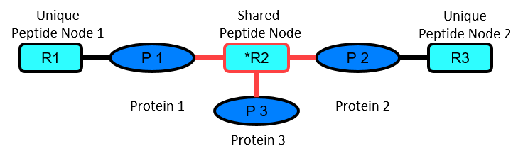 Protein pair example with significantly regulated shared peptide