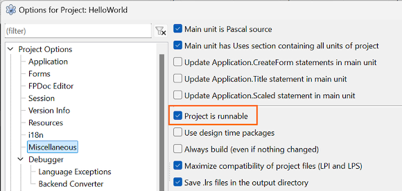 Lazarus project options