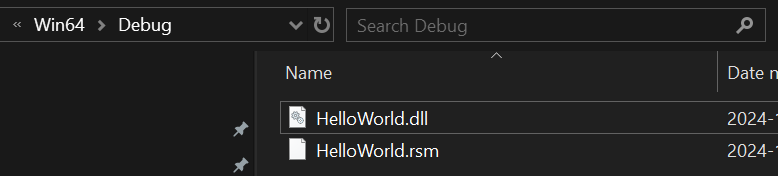 BDS debug build artifacts