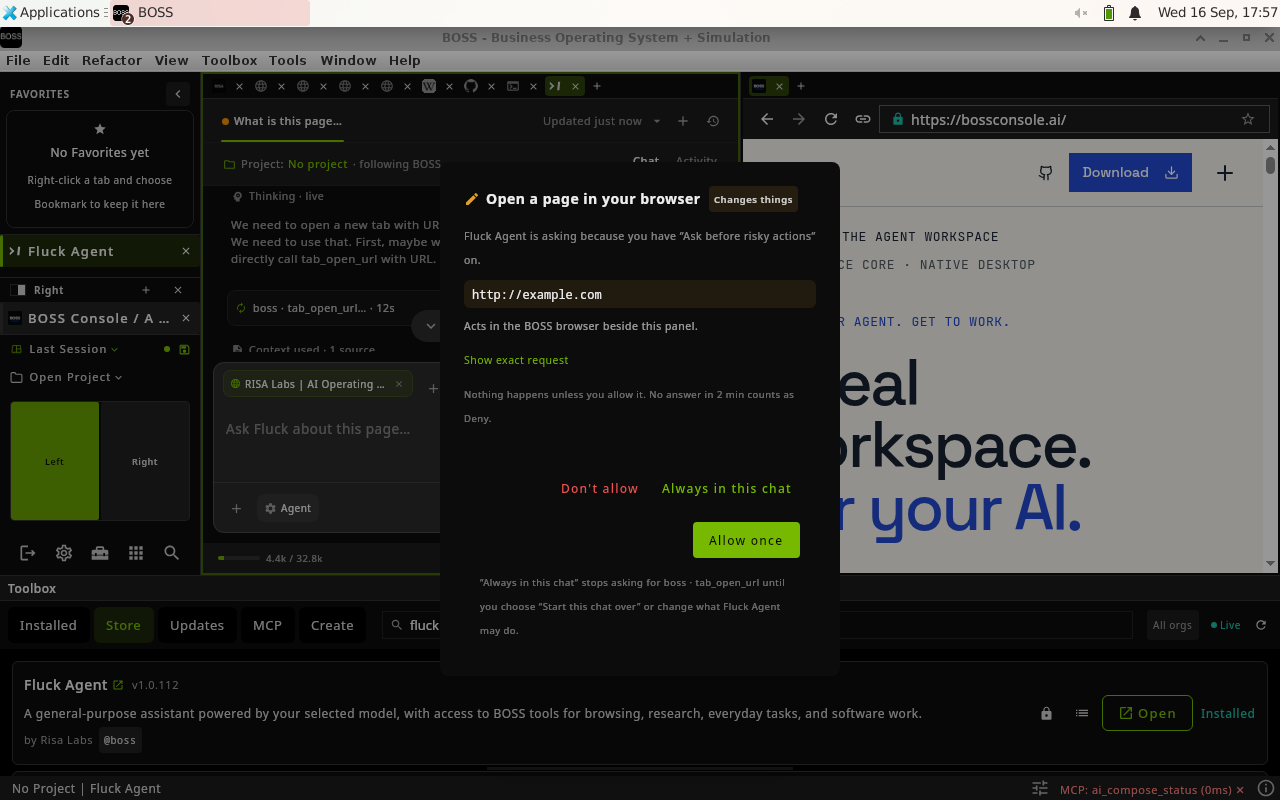 Fluck Agent asks for approval to open example.com