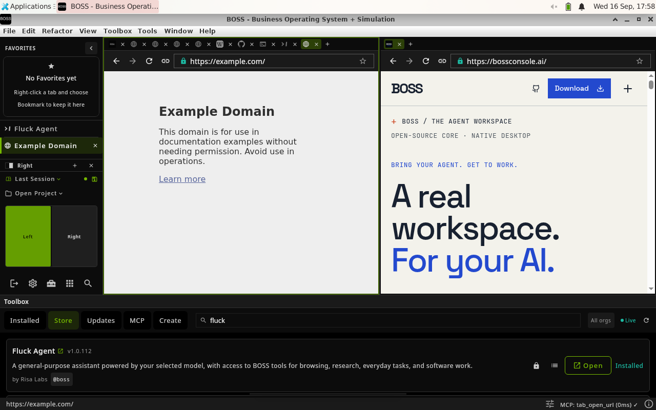 example.com opened in a real browser tab beside the source page