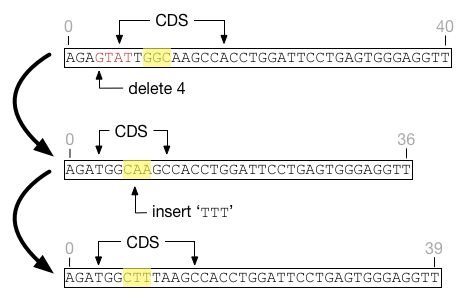 Factors are unaffected by indels