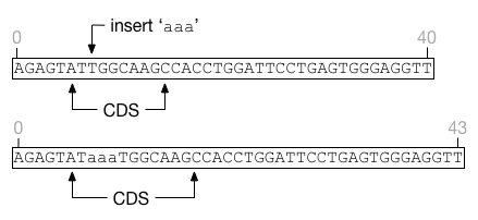 figures/insert-middle.png