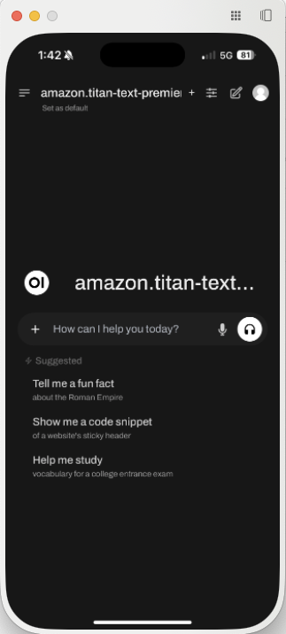 OpenWebUI on iPhone